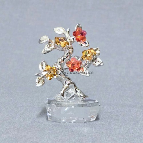 Bonsai